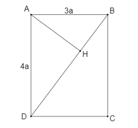 Sách bài tập Toán 11 Bài 5 (Cánh diều): Khoảng cách